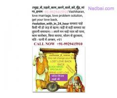 Online Love Problem Specialist Babaji +91-9929415910
