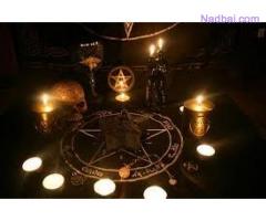Black magic expert and curse witchcraft specialist +27737053600