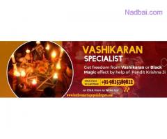 Best Love Problem Solution Specialist +91-9815389812