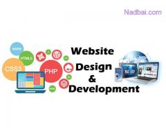 Top Best Website Development and designing IT Company in jaipur India