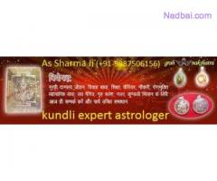 +91-9887506156 Get love back by Vedic astrologer in india