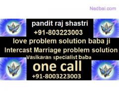 love problem solution baba ji +91-8003223003