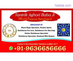 love marriage specialist +91-9636656666