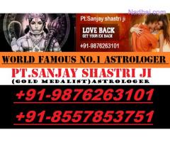 Best astrologer In India +91-9876263101