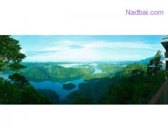 Top Rated Boutique Resort in Munnar