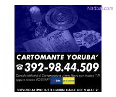 www.cartomante-yoruba.blogspot.com