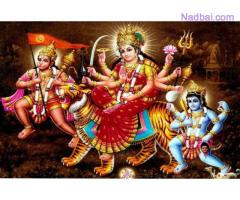 nathli<> love vashikaran speclle guru ji +91-9928377061