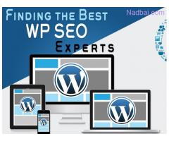 Wordpress SEO Services in India