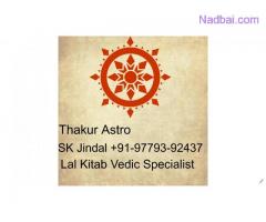 World Famous astrologer Lal Kitab SK Jindal+91-9779392437
